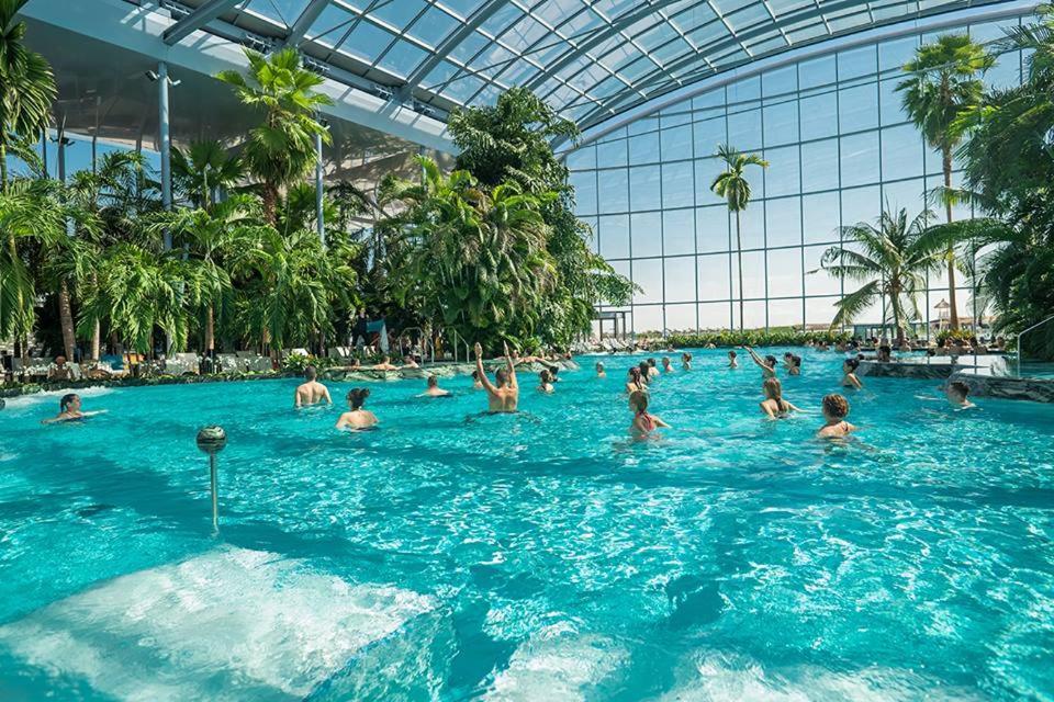 Casuta Bradulet - Aeroport Otopeni & Therme 巴洛泰什蒂 外观 照片